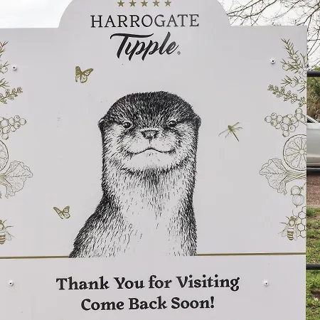 Дом отдыха Foxy