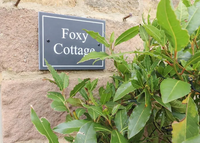 Foxy Holiday home