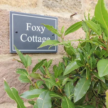 Foxy Hébergement de vacances